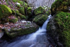 Arroyo de Bollariza
