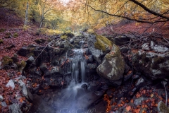 Nacimiento Aguasblancas
